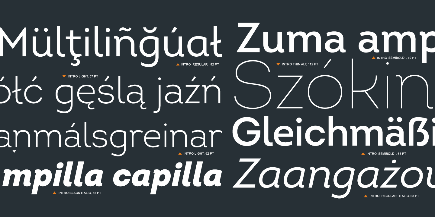 Ejemplo de fuente Intro Light Italic