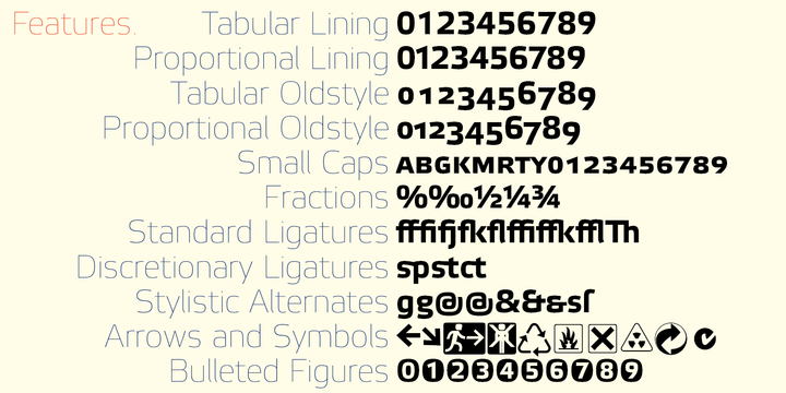 Ejemplo de fuente Etelka  Monospace Pro Bold Italic