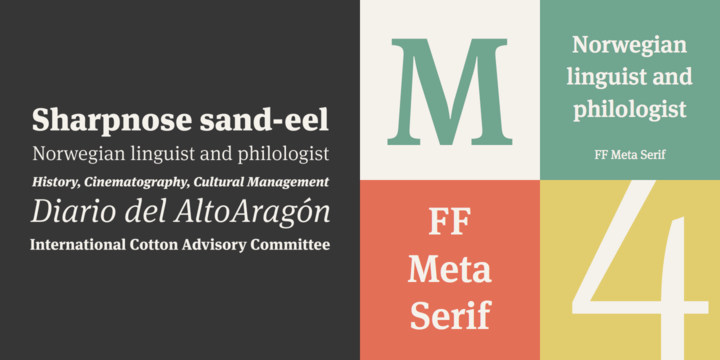 Ejemplo de fuente Meta Serif Pro Bold Italic