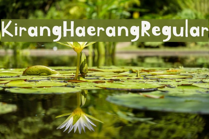 Ejemplo de fuente Kirang Haerang Regular