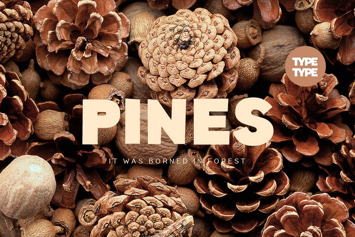 Ejemplo de fuente TT Pines Bold Italic