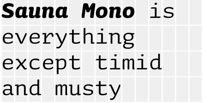 Ejemplo de fuente Sauna Mono Pro Bold Italic