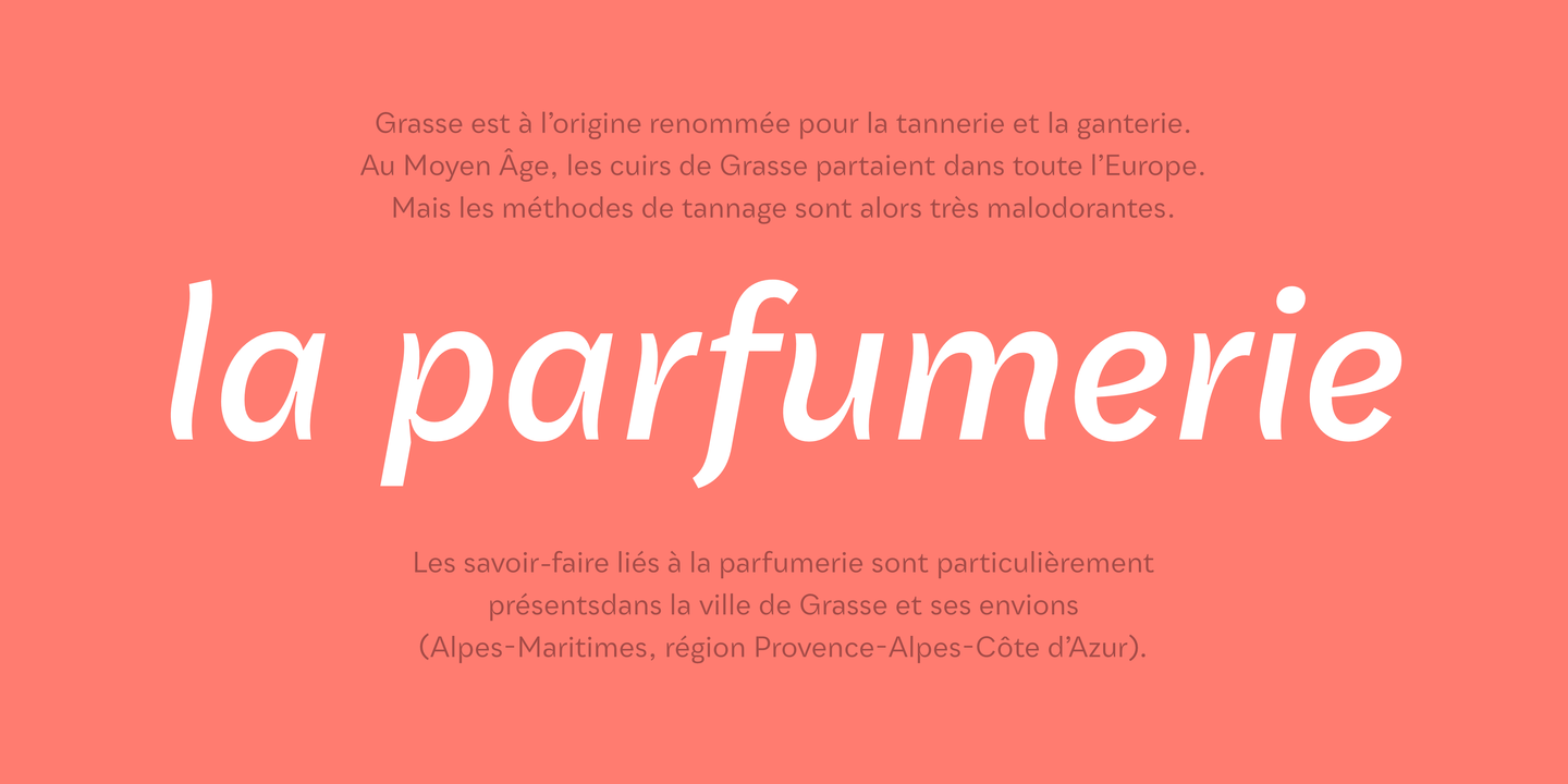 Ejemplo de fuente Qualion Text Ultra Thin Italic