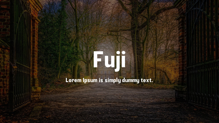 Ejemplo de fuente Fuji Bold