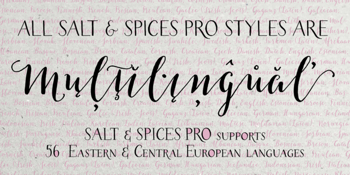 Ejemplo de fuente Salt & Spices Pro SC Serif 2