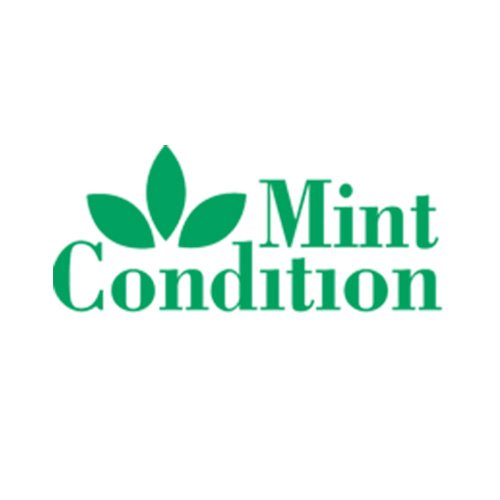 Ejemplo de fuente Mint Condition