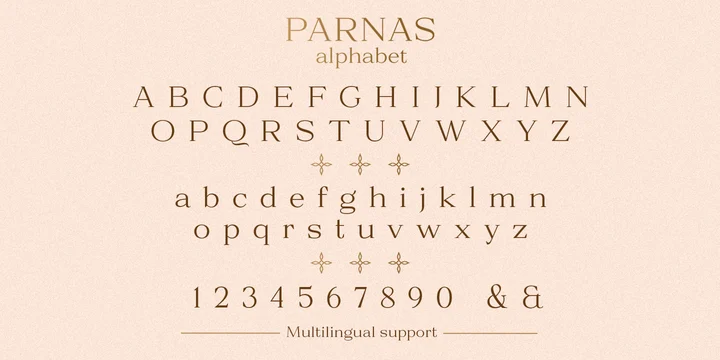 Ejemplo de fuente Parnas Serif