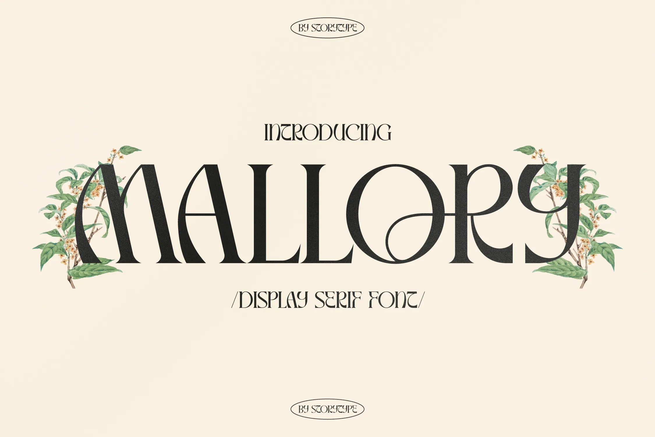 Ejemplo de fuente Mallory Display Serif Italic