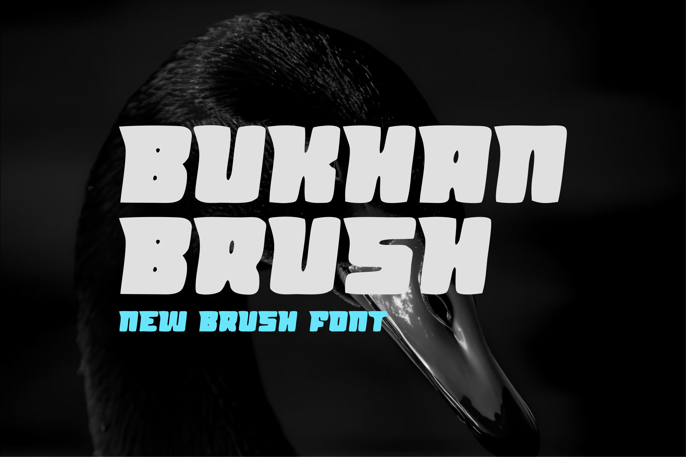 Ejemplo de fuente Bukhan Brush Regular