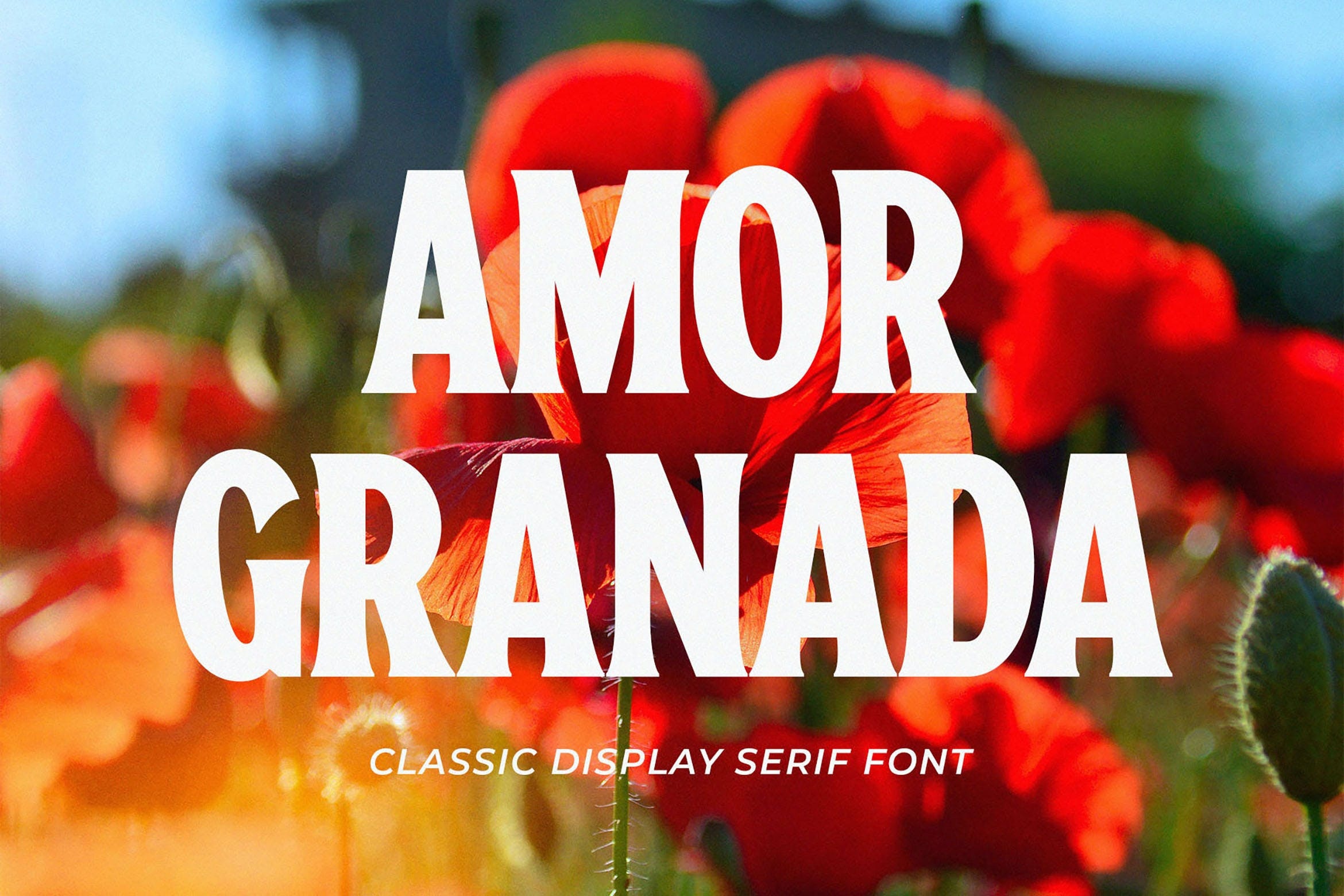 Ejemplo de fuente Amor Granada Regular