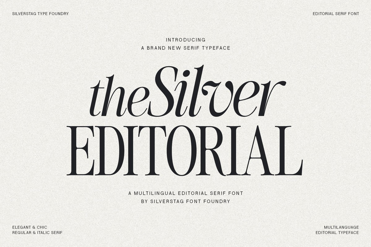 Ejemplo de fuente The Silver Editorial Italic