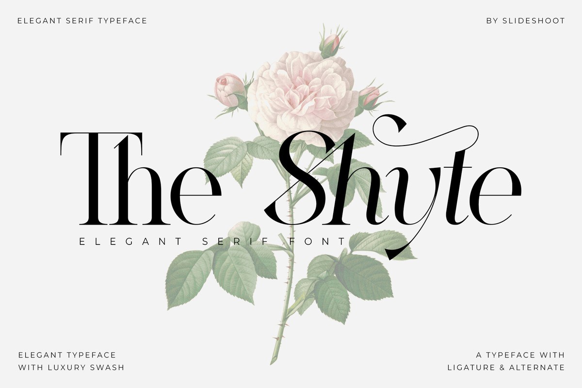 Ejemplo de fuente The Shyte Italic