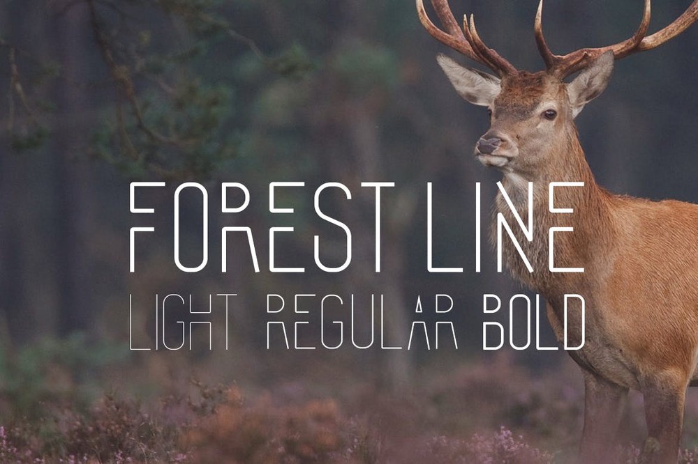 Ejemplo de fuente Forest Line Light