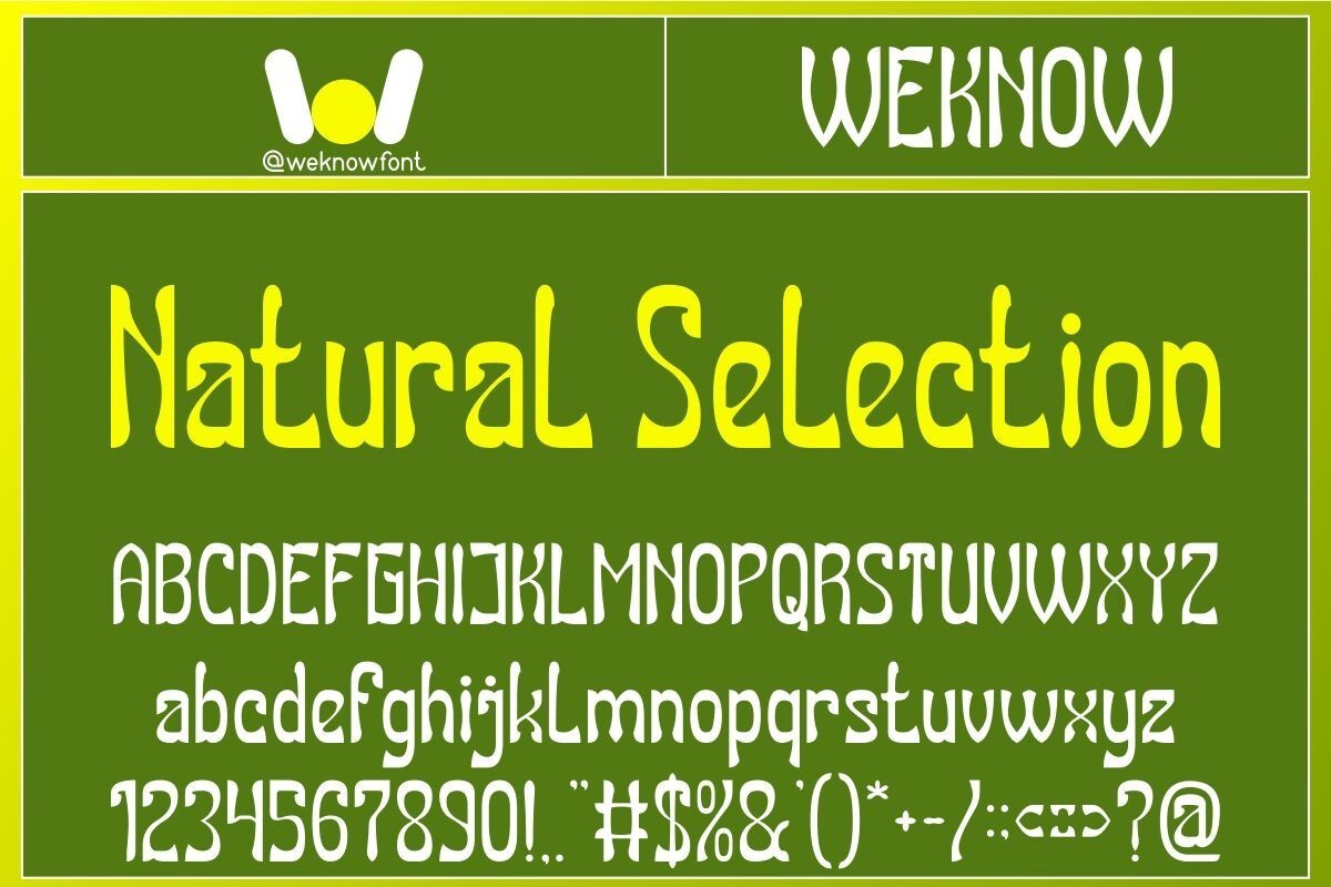 Ejemplo de fuente Natural Selection Bold Italic