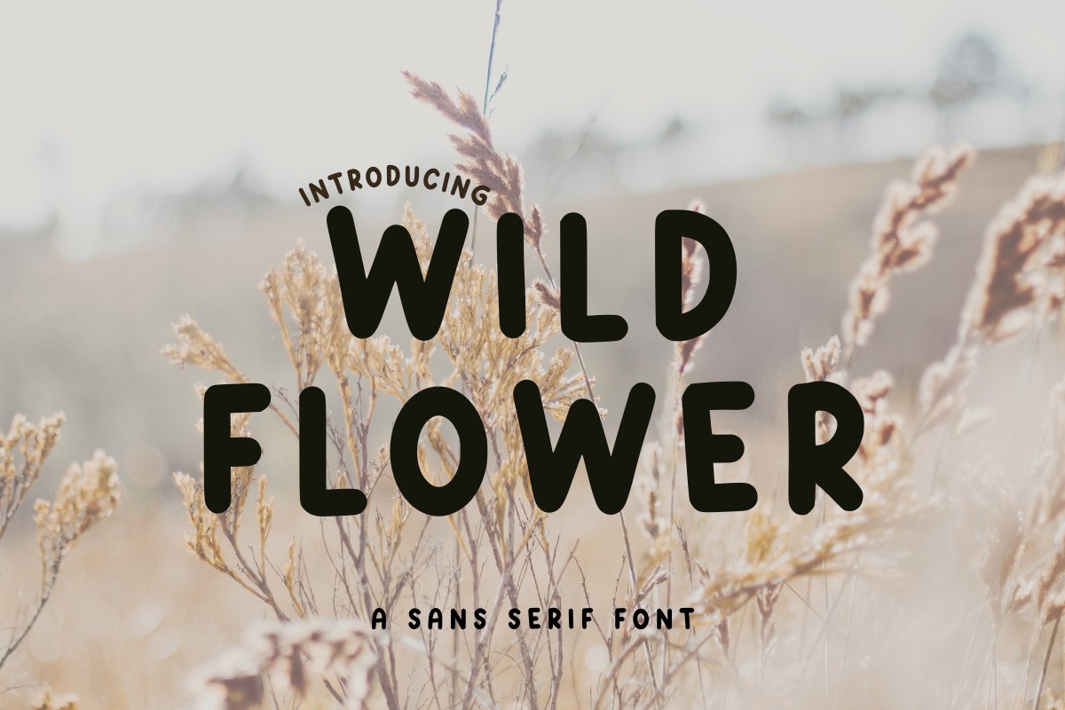 Ejemplo de fuente Wild Flowe