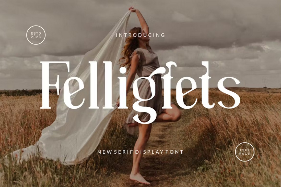 Ejemplo de fuente Felligfets Regular