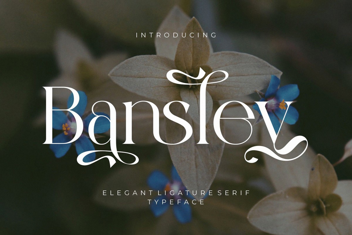 Ejemplo de fuente Bansley Regular