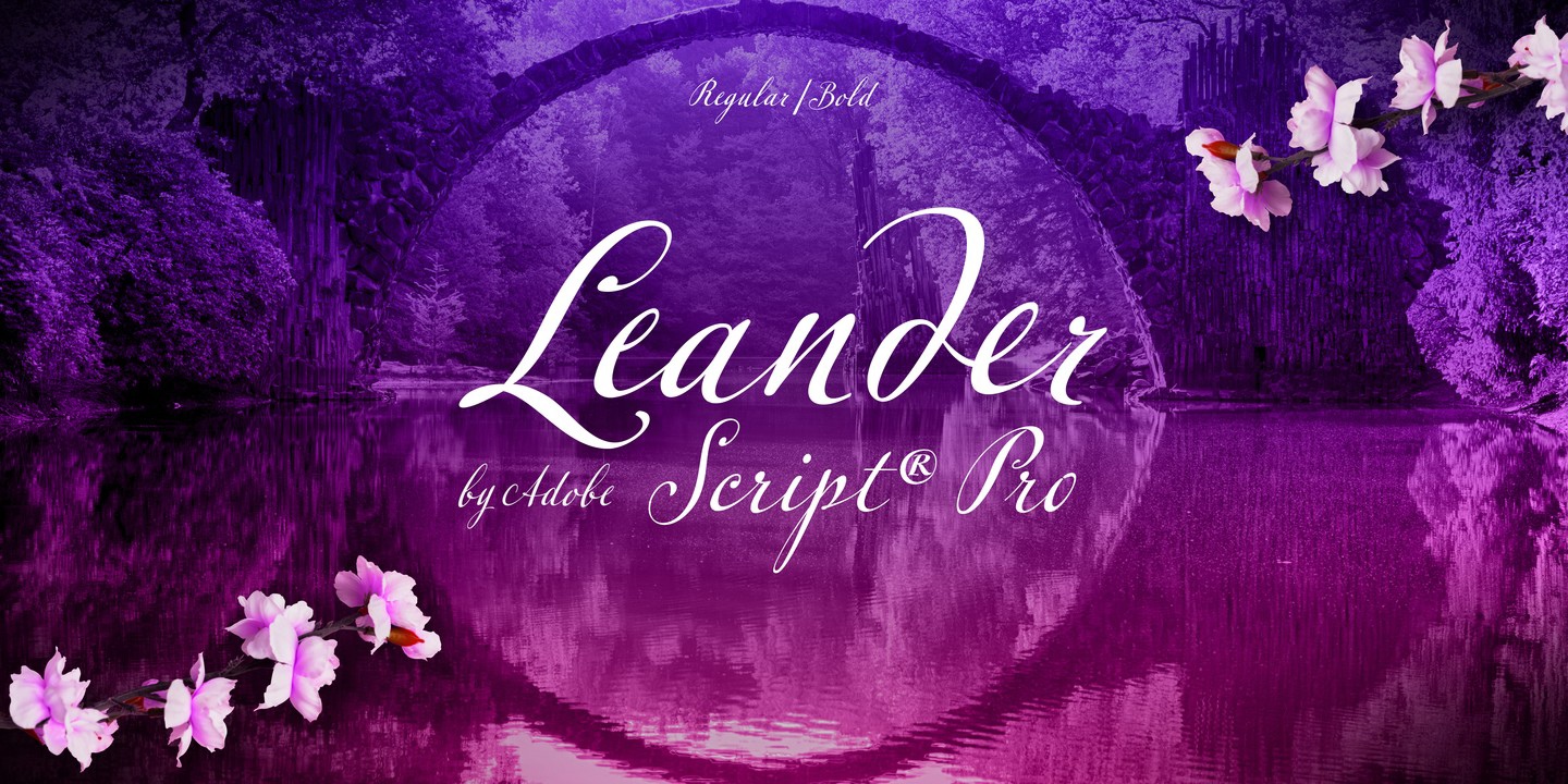 Ejemplo de fuente Leander Script Pro Bold
