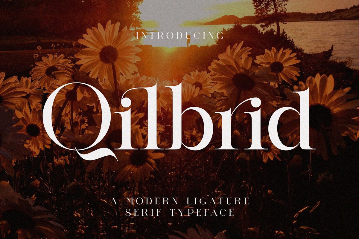 Ejemplo de fuente Qilbrid Regular