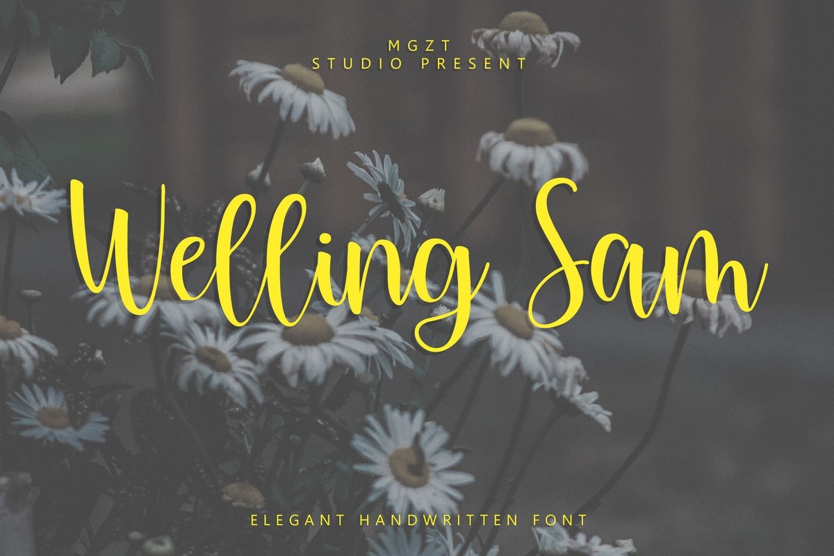 Ejemplo de fuente Welling Sam Regular