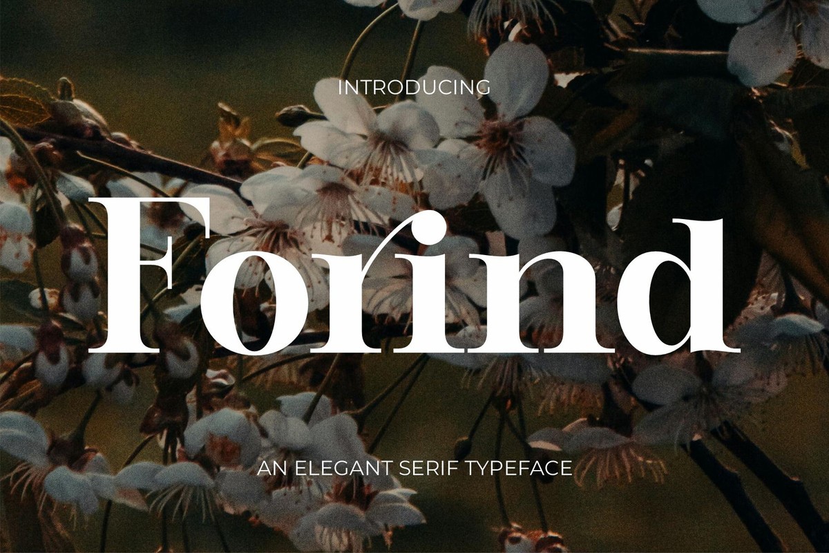 Ejemplo de fuente Forind Regular