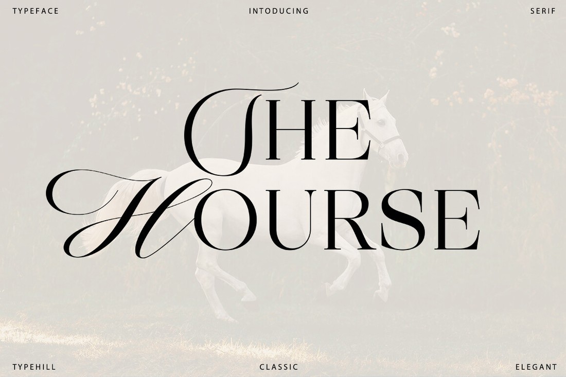Ejemplo de fuente The Hourse Serif Italic