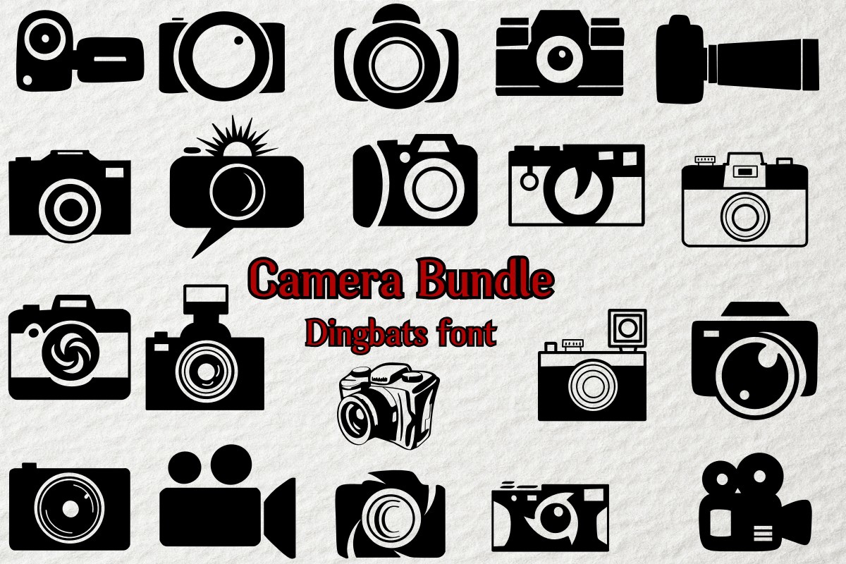 Ejemplo de fuente Camera Bundle Regular