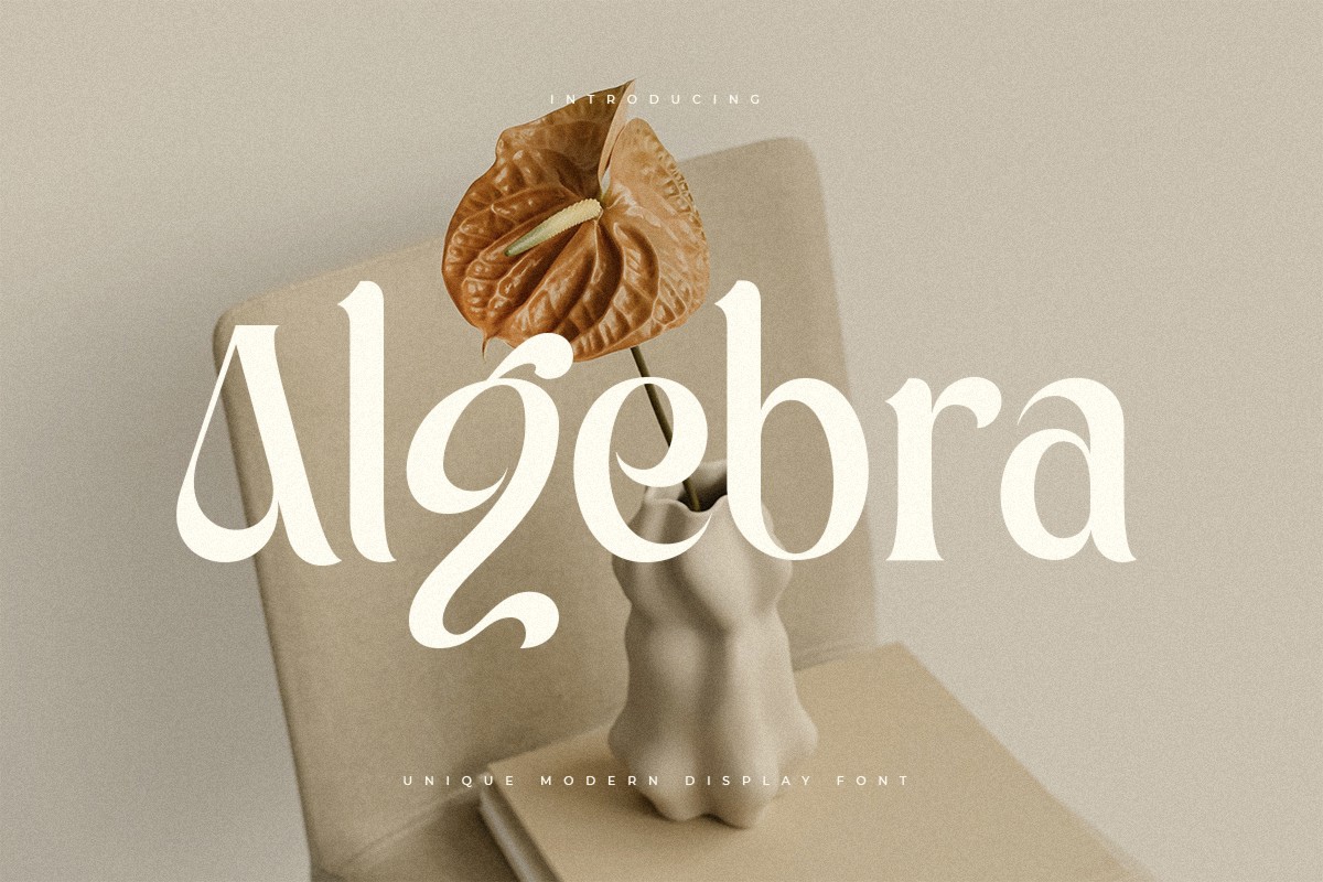 Ejemplo de fuente Algebra Regular