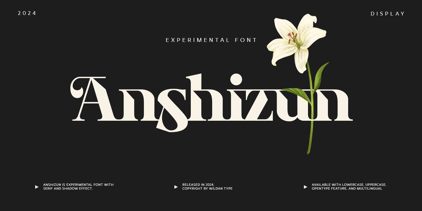 Ejemplo de fuente Anshizun Regular